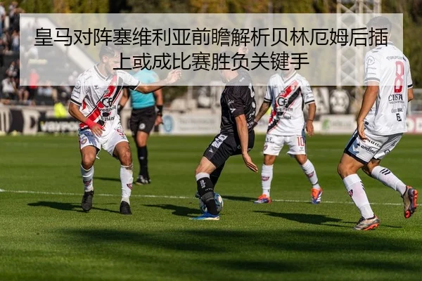 img_1783352584884_739_1_970.jpg